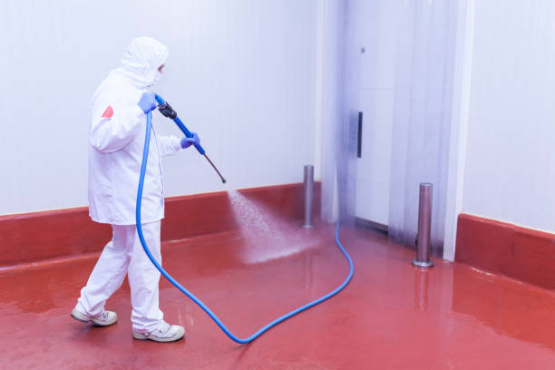 Best Graffiti Removal  in Milton, WV