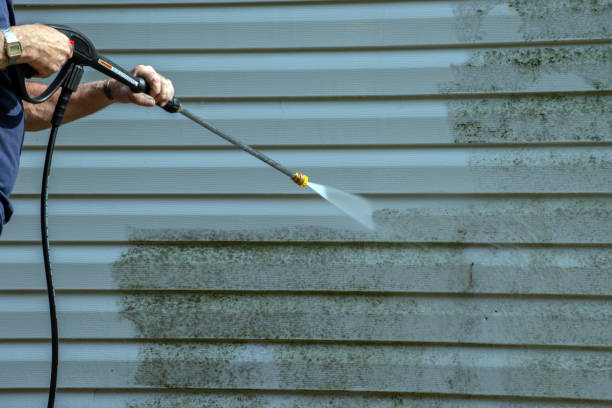 Best Patio and Deck Pressure Washing  in Milton, WV